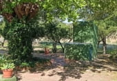 Finca rústica en venda a la Carretera Olivares-Sanlúcar La Mayor, Olivares, ref.: TR93252 foto