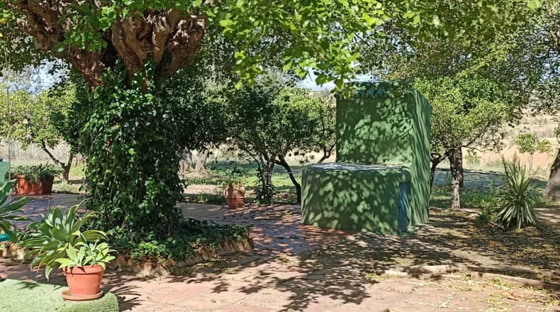 Sevilla - Olivares - 22600m2