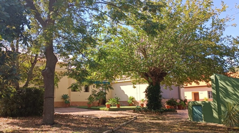 Sevilla - Olivares - 22600m2