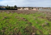 Terreny no urbanitzable en venda a la Carretera soria 10, Albelda de Iregua, ref.: TR93302 foto