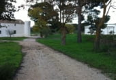 Finca rústica en venta en la Umbría de Peñas Blancas, Yecla, ref: TR98468 foto