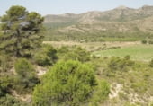 Finca rústica en venta en la Umbría de Peñas Blancas, Yecla, ref: TR98468 foto