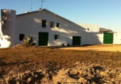 Finca rústica en venta en la Umbría de Peñas Blancas, Yecla, ref: TR98468 foto