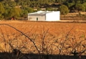 Finca rústica en venta en la Umbría de Peñas Blancas, Yecla, ref: TR98468 foto