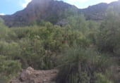 Finca rústica en venta en la Umbría de Peñas Blancas, Yecla, ref: TR98468 foto