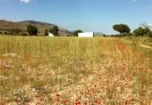 Finca rústica en venta en la Umbría de Peñas Blancas, Yecla, ref: TR98468 foto