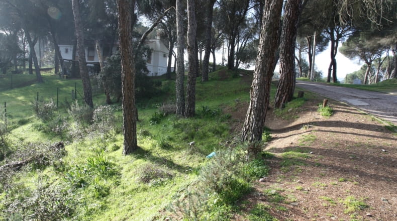 Córdoba - Córdoba - 1100m2