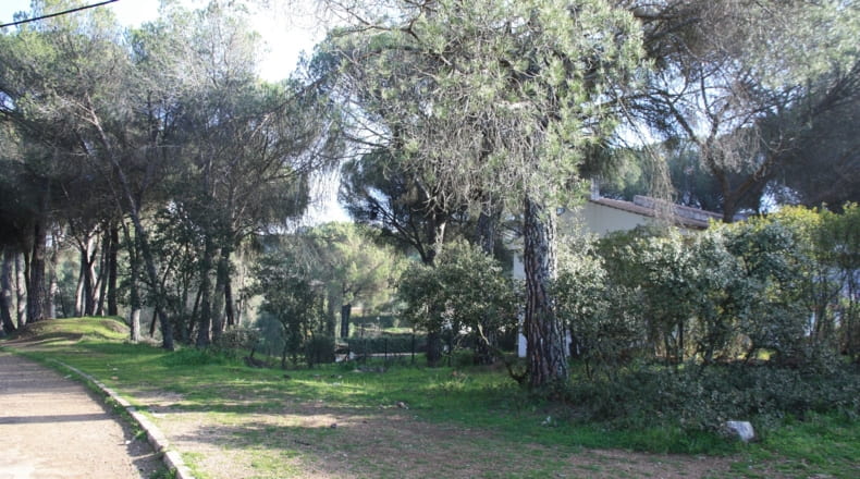 Córdoba - Córdoba - 1100m2