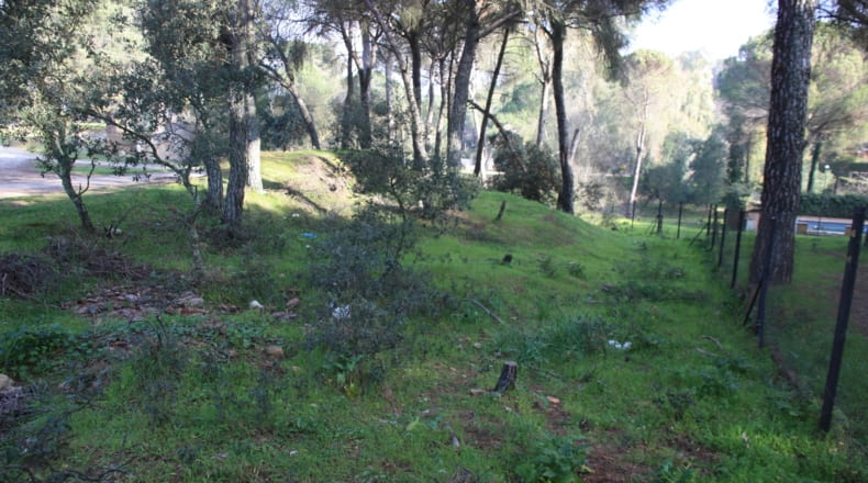 Córdoba - Córdoba - 1100m2