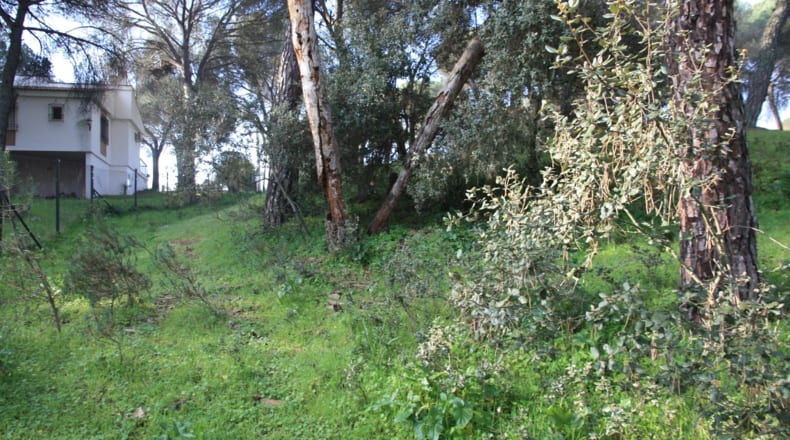 Córdoba - Córdoba - 1100m2