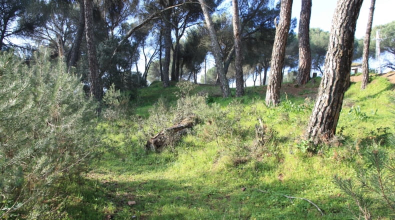 Córdoba - Córdoba - 1100m2