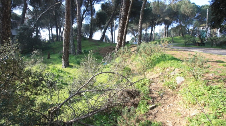 Córdoba - Córdoba - 1100m2