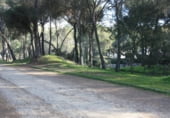 Parcel·la urbanitzable en venda a la Cerro Muriano (c/Pozo San Lorenzo), Còrdova, ref.: TR93801 foto