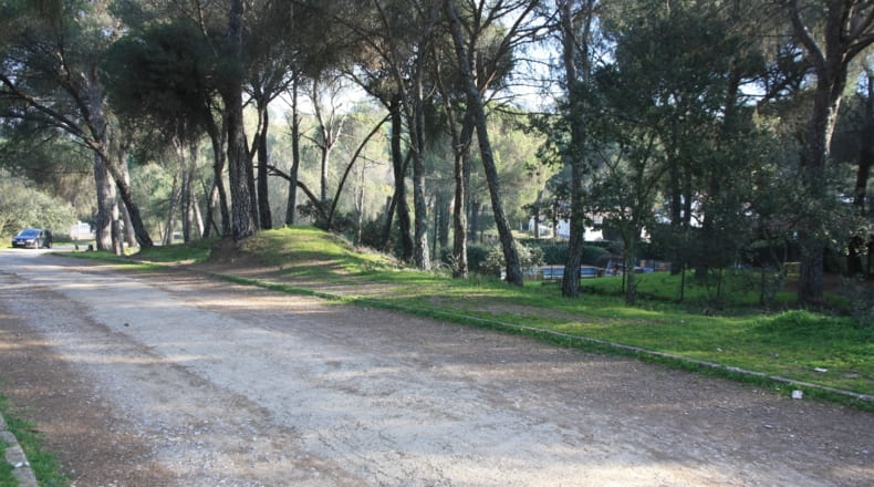 Córdoba - Córdoba - 1100m2