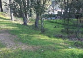 Parcel·la urbanitzable en venda a la Cerro Muriano (c/Pozo San Lorenzo), Còrdova, ref.: TR93801 foto