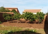 Terreno con Almacén en venta en la Calle Valencia, Toral de los Guzmanes, ref: TR93805 foto