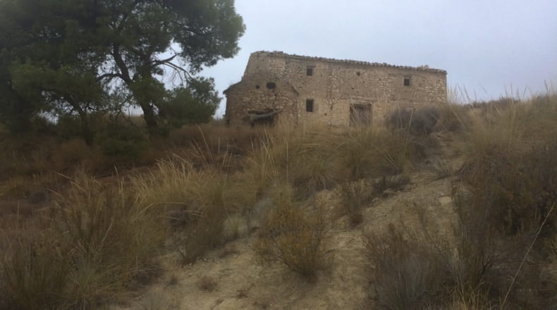 Jaen - Cabra del Santo Cristo - 340300m2