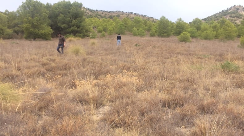 Jaen - Cabra del Santo Cristo - 340300m2