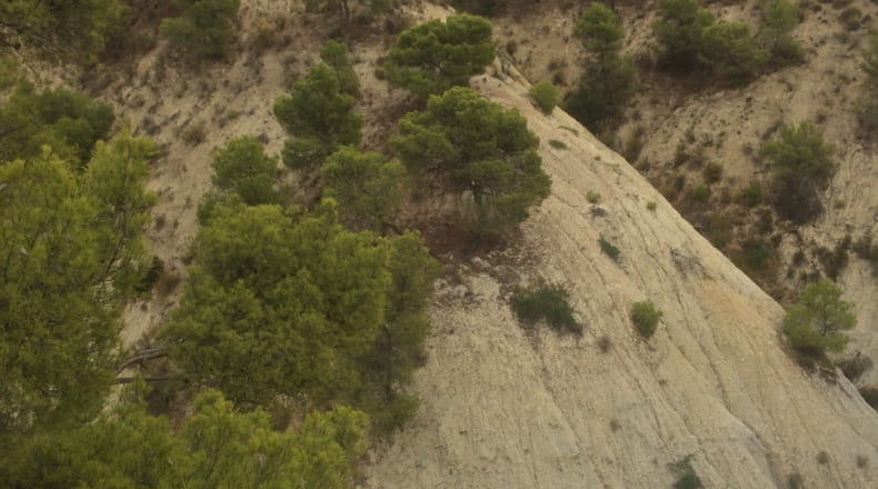 Jaen - Cabra del Santo Cristo - 340300m2