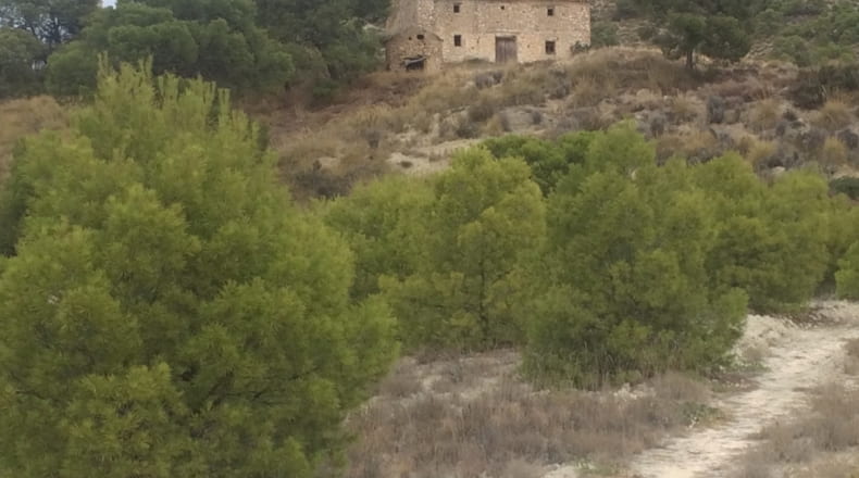 Jaen - Cabra del Santo Cristo - 340300m2
