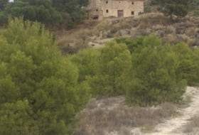 Foto 9