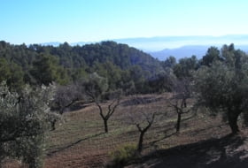 La Fresneda 100000&nbsp;m²