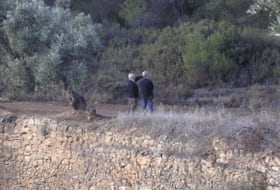 La Fresneda 100000&nbsp;m²