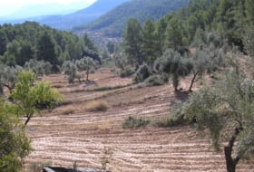 La Fresneda 100000&nbsp;m²