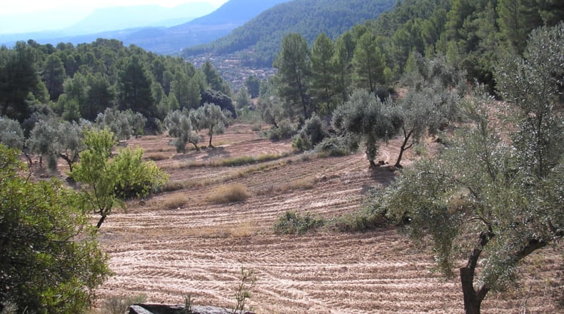 Teruel - La Fresneda - 100000m2