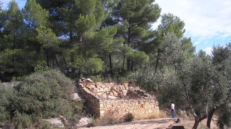 Teruel - La Fresneda - 100000m2