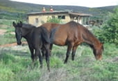 Country house with land for sale on El Tejar n1, Acebo, ref: TR93137 photo
