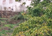 Дом с участком на продажу в городе Quiroga Фото