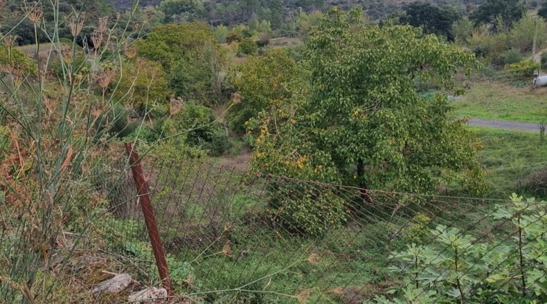 Lugo - Quiroga - 1800m2