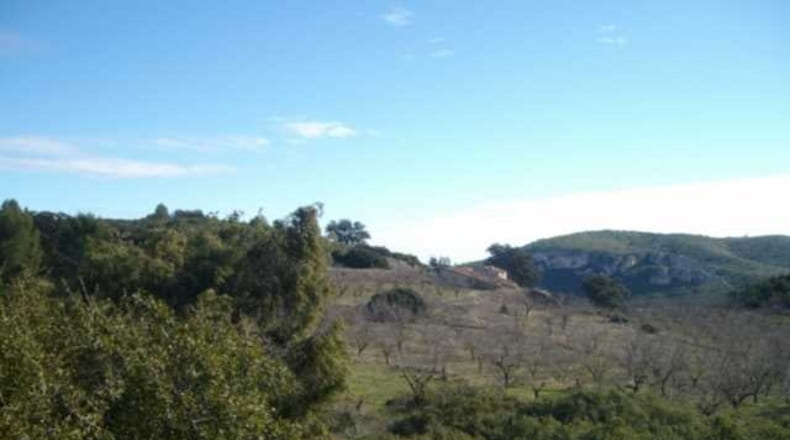 Valencia - Chelva - 18000m2