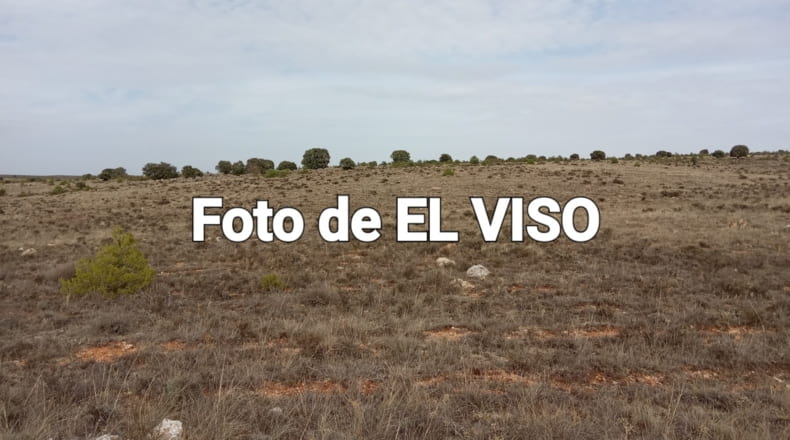 Soria - Yelo - 160000m2