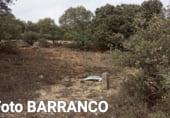 Terreny no urbanitzable en venda a la Barranco de los Cochiles, Yelo, ref.: TR94048 foto