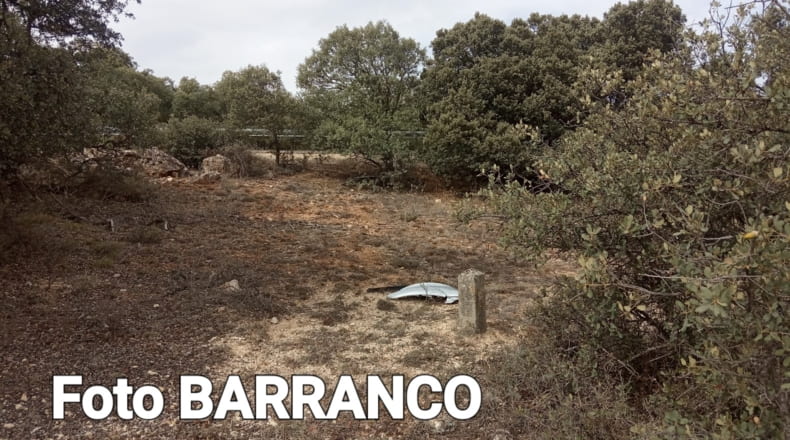 Soria - Yelo - 40000m2