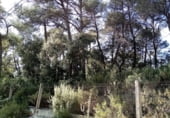 Sòl urbà en venda a la Avinguda de Vacarisses, Vacarisses, ref.: TR94047 foto