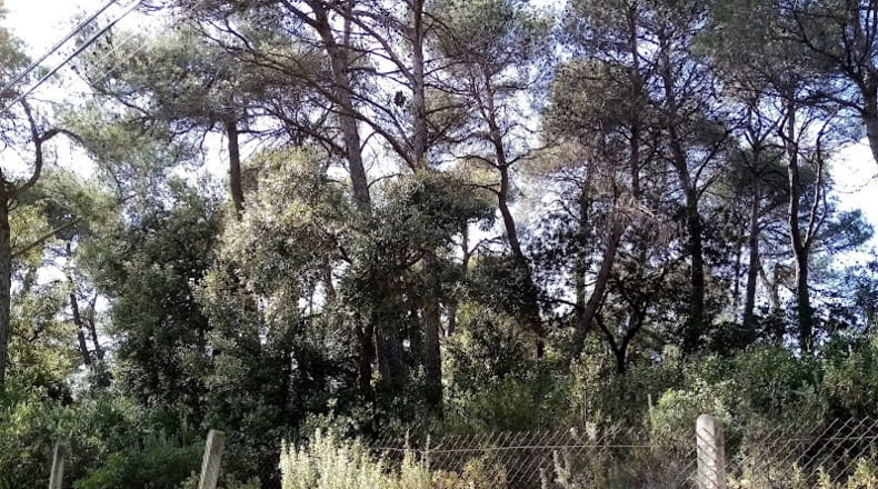 Barcelona - Vacarisses - 2400m2