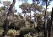 Sòl urbà en venda a la Avinguda de Vacarisses, Vacarisses, ref.: TR94047 foto