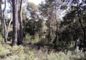 Sòl urbà en venda a la Avinguda de Vacarisses, Vacarisses, ref.: TR94047 foto