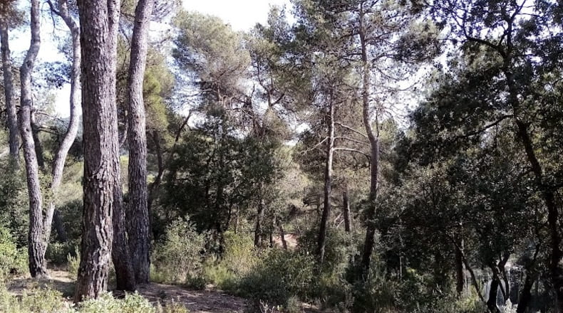 Barcelona - Vacarisses - 2400m2