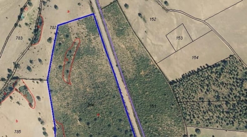 Toledo - Mohedas de la Jara - 210000m2