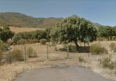 Non-developable land for sale on CM-4100, Mohedas de la Jara, ref: TR94146 photo