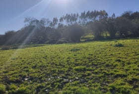 Vilde 6000&nbsp;m²