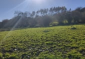 Parcel·la urbanitzable en venda a la Colombres, Vilde, ref.: TR94256 foto