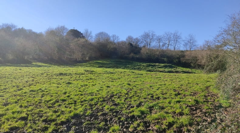 Asturias - Vilde - 6000m2