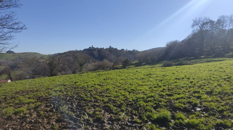 Asturias - Vilde - 6000m2