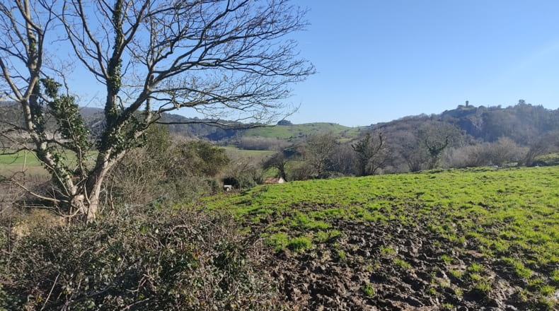 Asturias - Vilde - 6000m2
