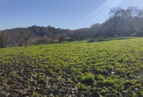 Vilde 6000&nbsp;m²